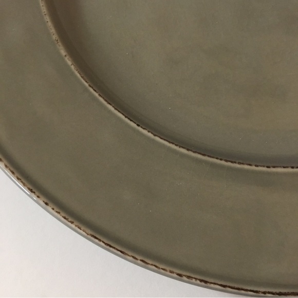 2 Pier 1 Imports Martillo Fog Stoneware Round Dinner Plates - Picture 13 of 14